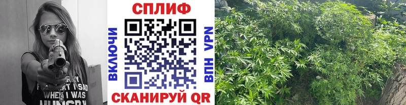 Купить закладку Всеволожск Cocaine  Конопля  A PVP  ГАШИШ  МЕФ 