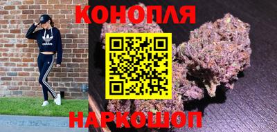 гидропоника Будённовск