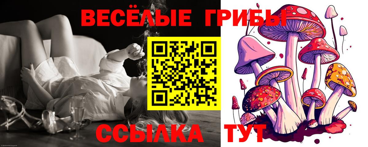 Всеволожск  Галлюциногенные грибы ЛСД  Галлюциногенные грибы мицелий  Вход с VPN 