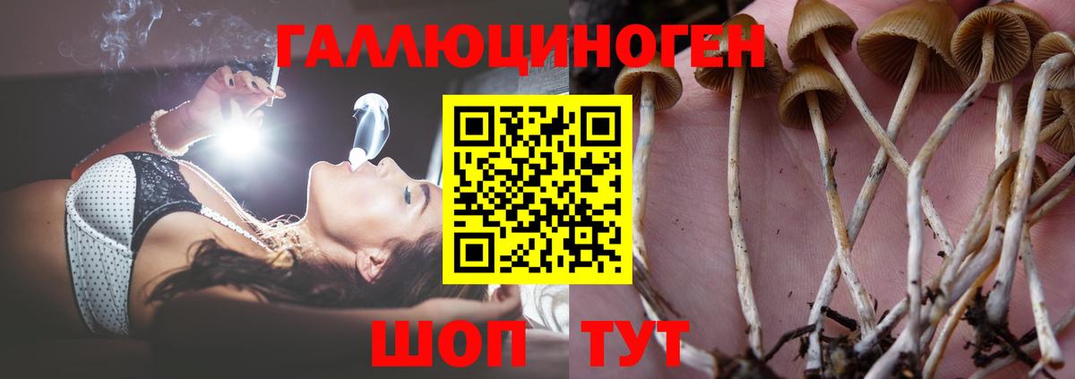 Псилоцибиновые грибы ЛСД  Псилоцибиновые грибы мицелий  Всеволожск 