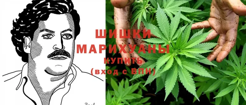 где можно купить   OMG ONION  Бошки марихуана LSD WEED  Всеволожск 